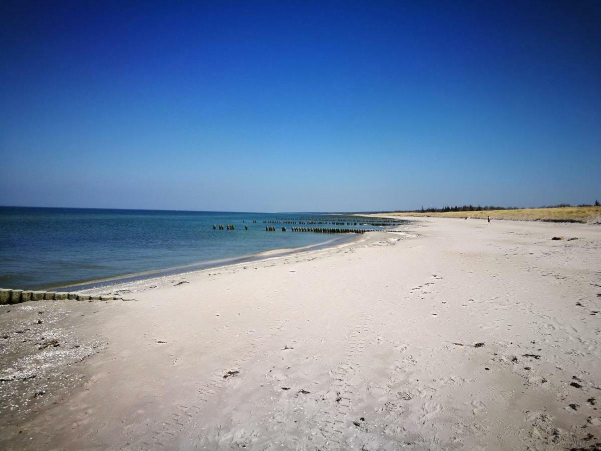 Darsser Strandgut - Haus Ahrenshooper Holz Kültér fotó