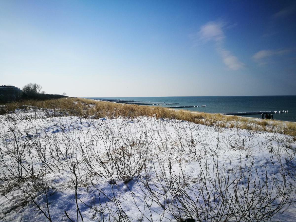 Darsser Strandgut - Haus Ahrenshooper Holz Kültér fotó
