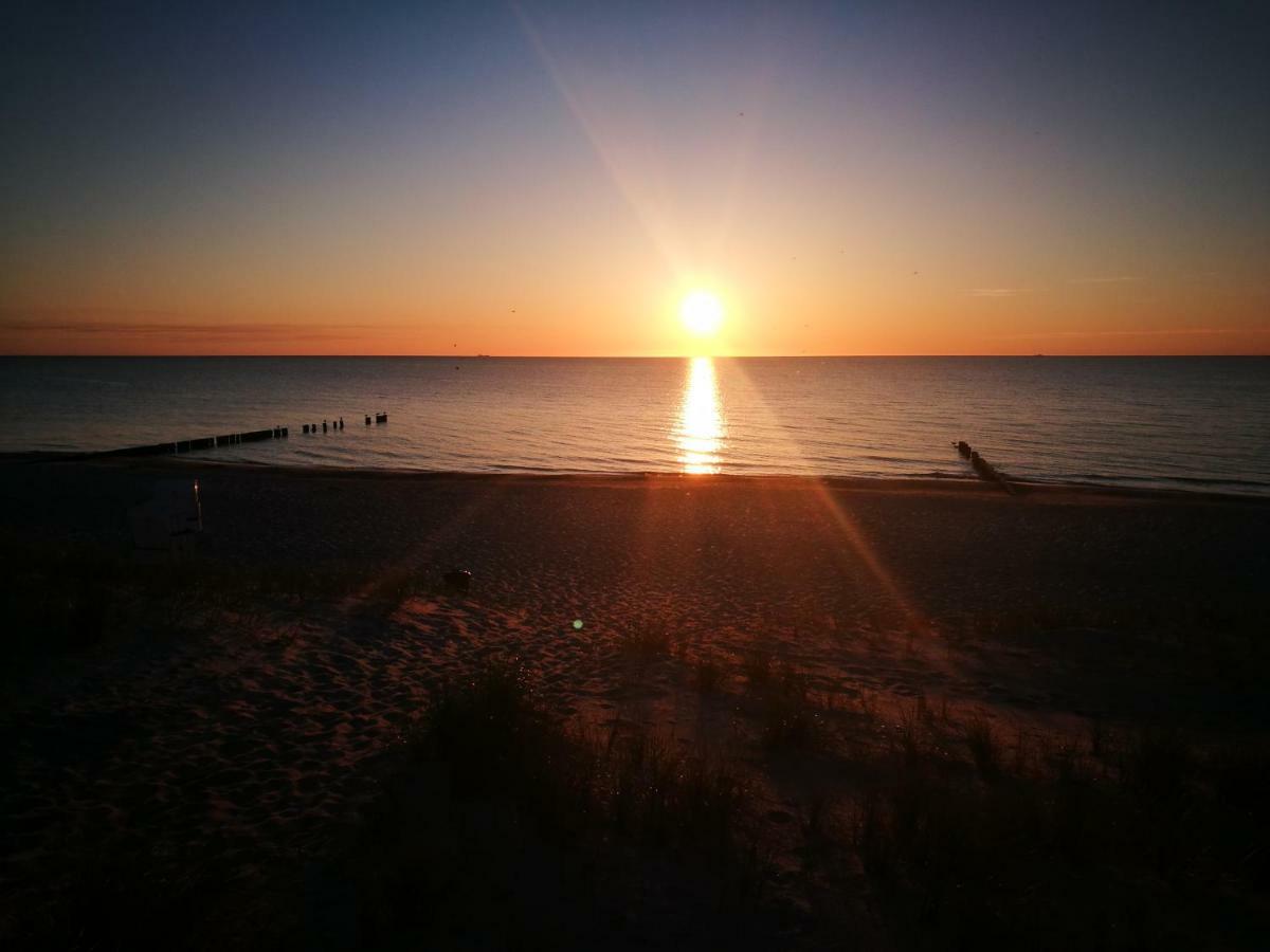 Darsser Strandgut - Haus Ahrenshooper Holz Kültér fotó