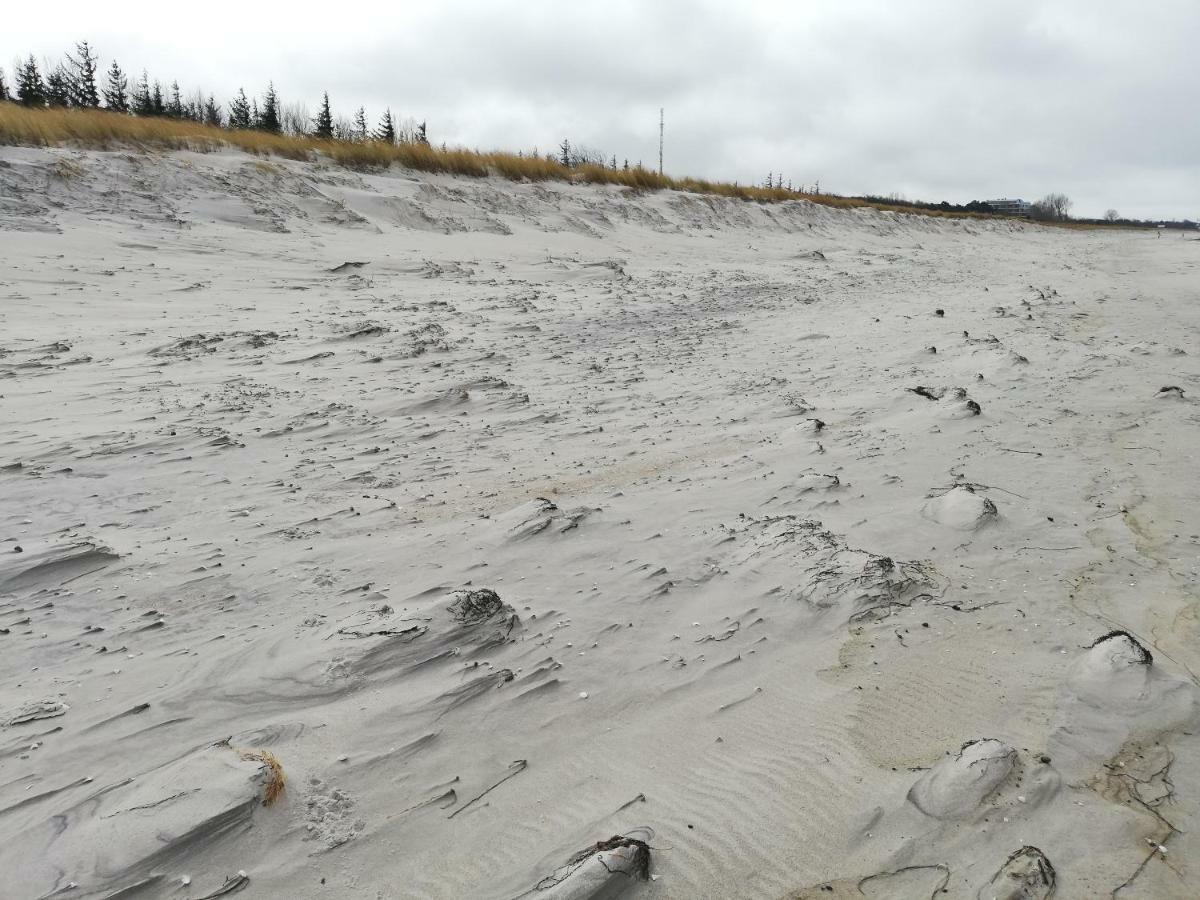 Darsser Strandgut - Haus Ahrenshooper Holz Kültér fotó