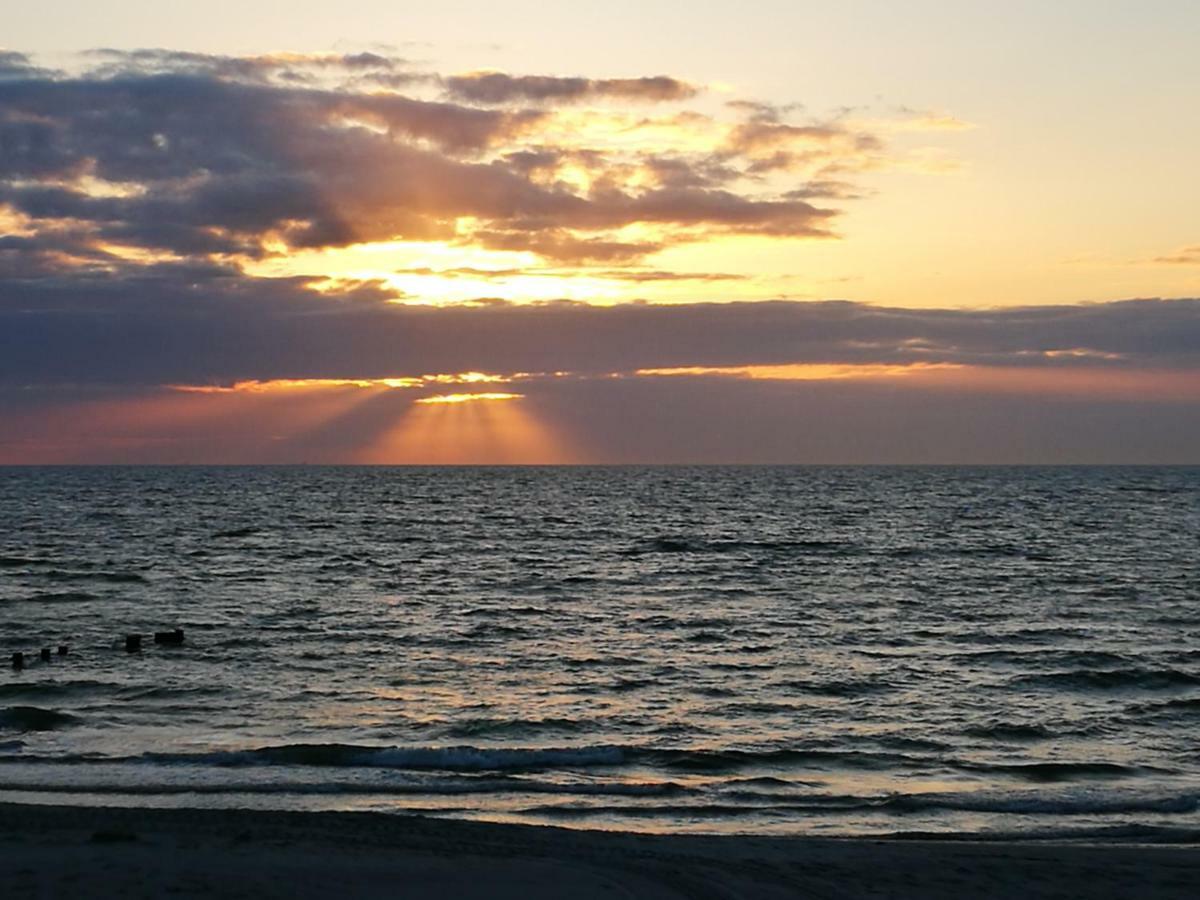 Darsser Strandgut - Haus Ahrenshooper Holz Kültér fotó