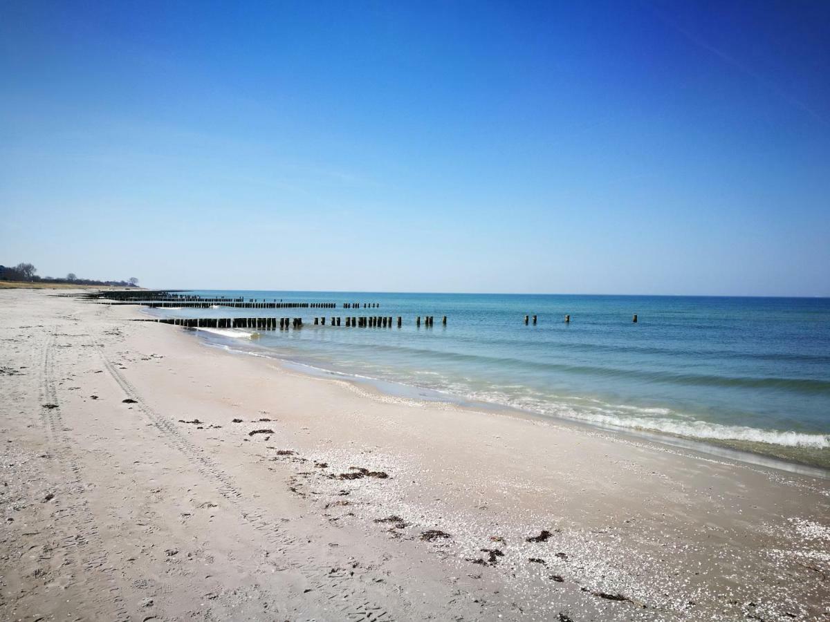 Darsser Strandgut - Haus Ahrenshooper Holz Kültér fotó